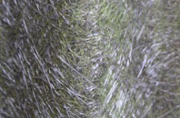 Widford fibreglass roof work